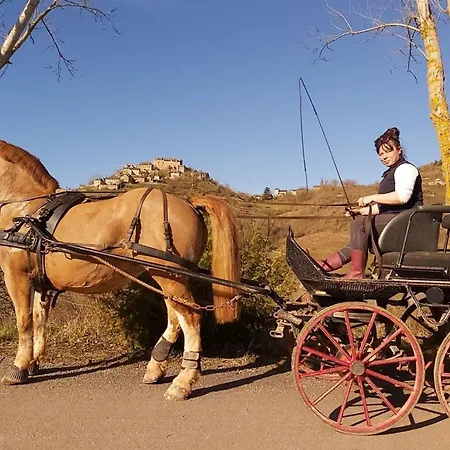 La Fregiere Kemp Clairvaux-d'Aveyron