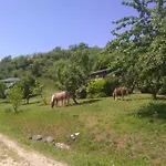 Campingplads La Fregiere Clairvaux-d'Aveyron