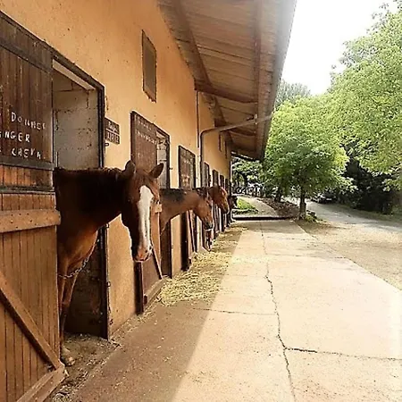 La Fregiere 营地 Clairvaux-d'Aveyron