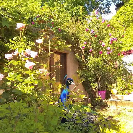 营地 La Fregiere Clairvaux-d'Aveyron