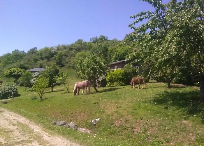 Camping La Frégière Clairvaux-d'Aveyron