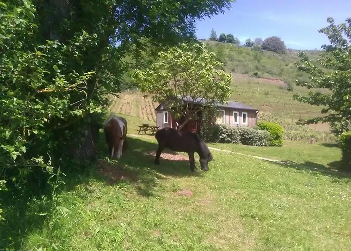 Camping La Frégière