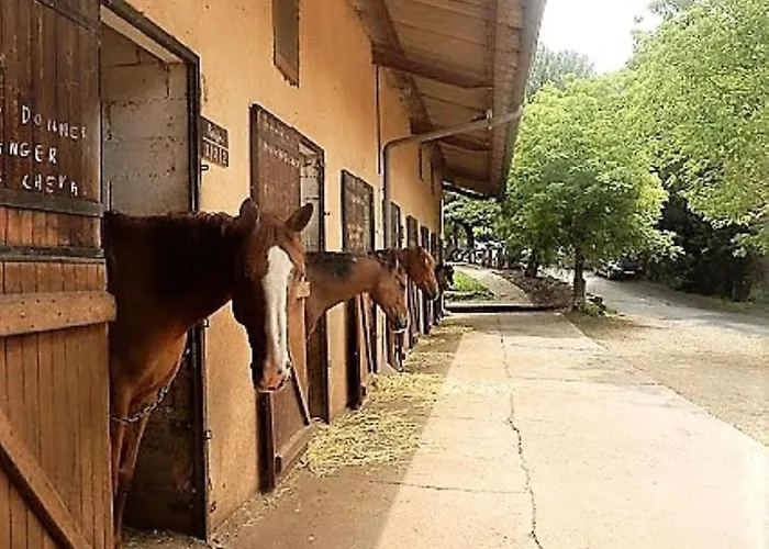 La Frégière Camping Clairvaux-d'Aveyron