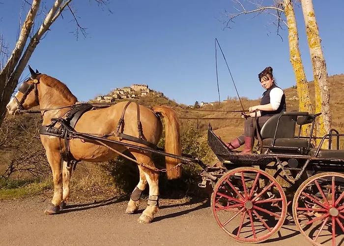 La Frégière Camping Clairvaux-d'Aveyron