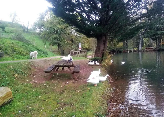 Camping La Frégière *