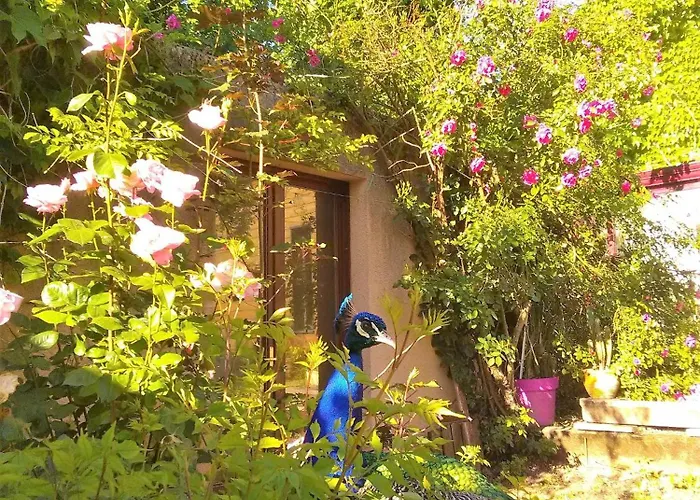 Camping La Frégière Clairvaux-d'Aveyron